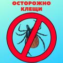 ОСТОРОЖНО КЛЕЩИ! С наступлением лета в Камчатском крае начался эпидемиологический сезон, связанный с появлением иксодовых клещей. ОСТОРОЖНО КЛЕЩИ! С наступлением лета в Камчатском крае начался эпидемиологический сезон, связанный с появлением иксодовых клещей.